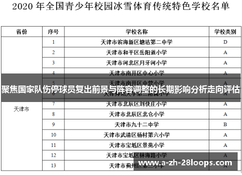 聚焦国家队伤停球员复出前景与阵容调整的长期影响分析走向评估
